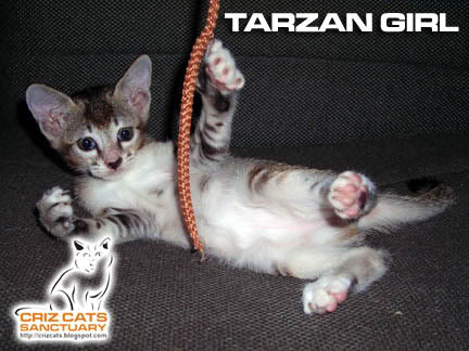 TARZAN