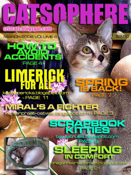  CATMAG06