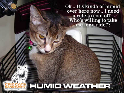 HUMID01