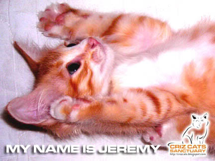 JEREMY