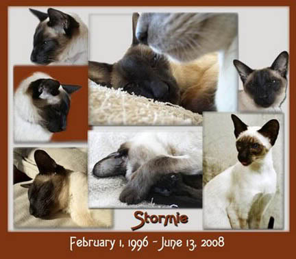 STORMIE01