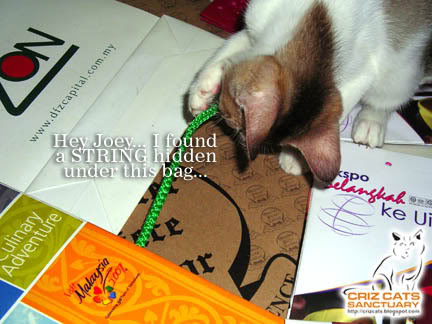 STRINGS03
