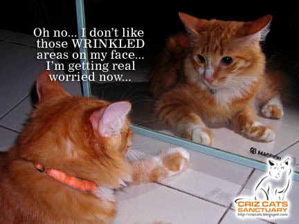 WRINKLED04